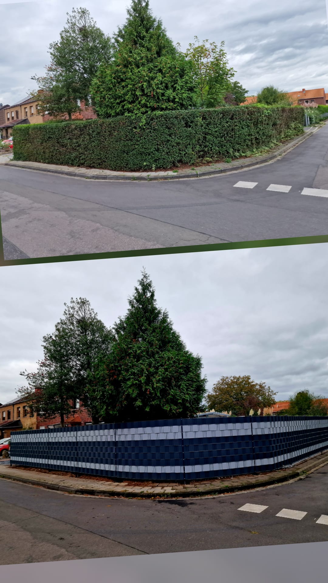 WhatsApp Image 2026-02-17 at 14.43.28 (1)