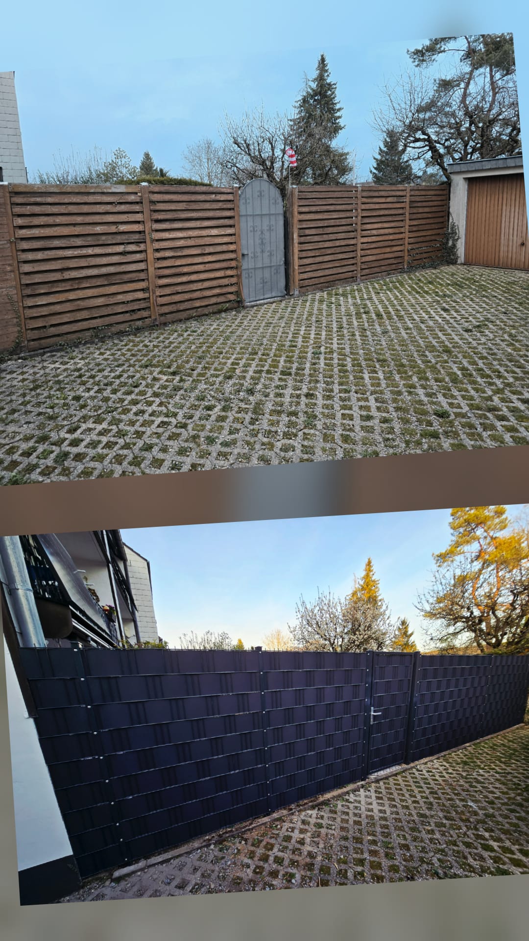 WhatsApp Image 2026-02-17 at 14.43.28