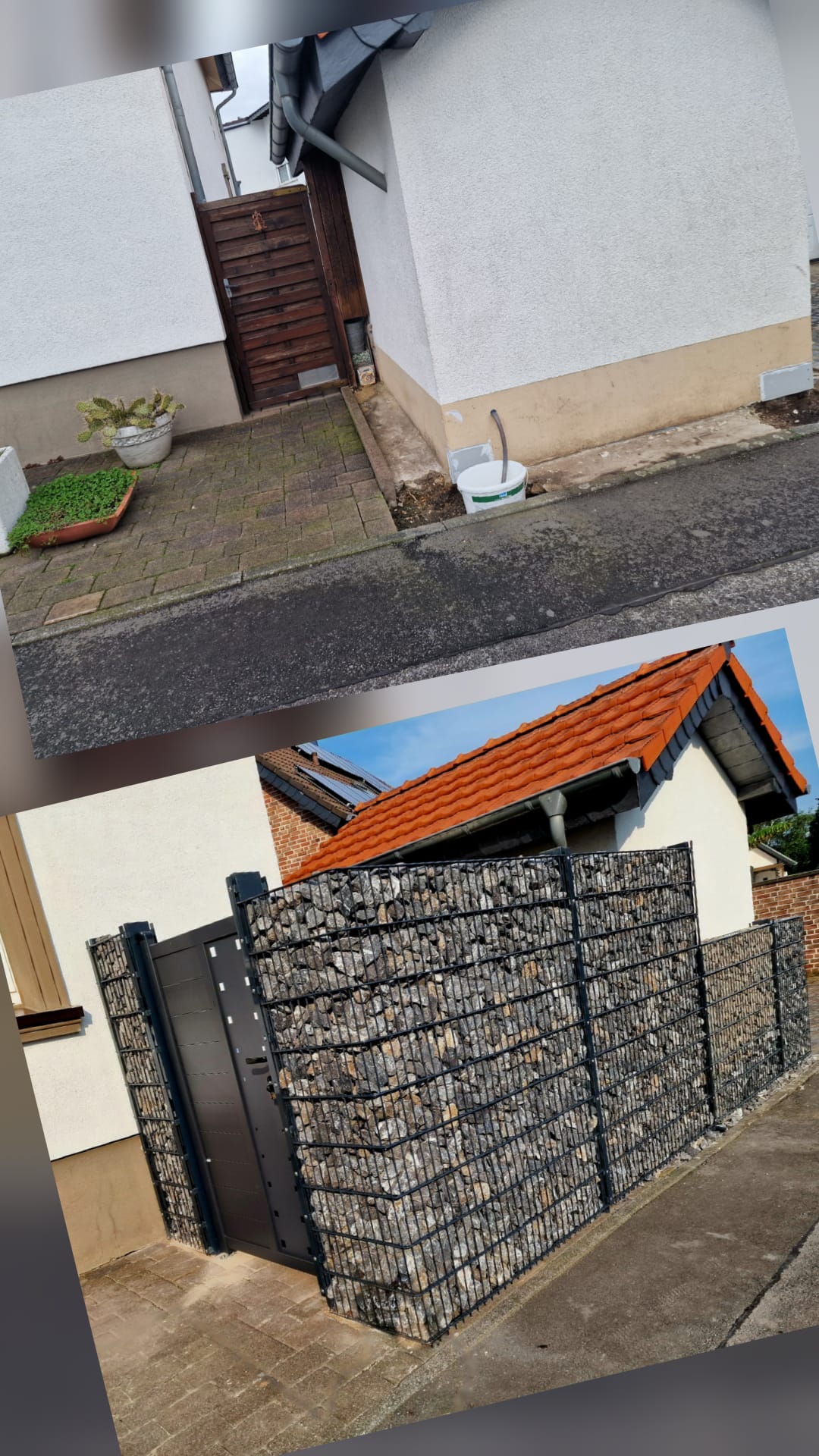 WhatsApp Image 2026-02-17 at 14.43.29