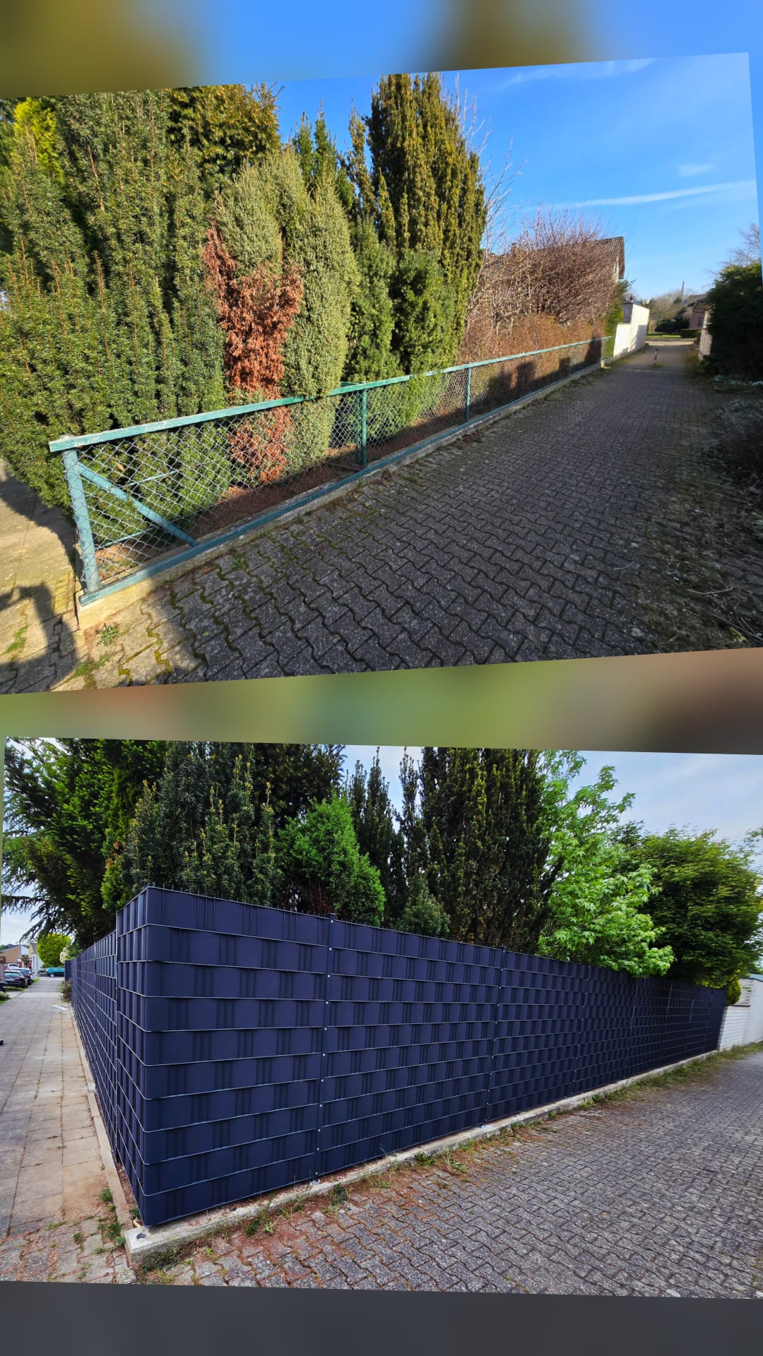 WhatsApp Image 2026-02-17 at 14.43.30 (4)